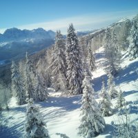 Galleria foto » Inverno in Val di Peio e Val di Sole